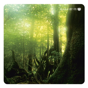 亚洲日韩中文制服
