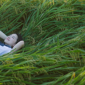 亚洲日韩中文制服
