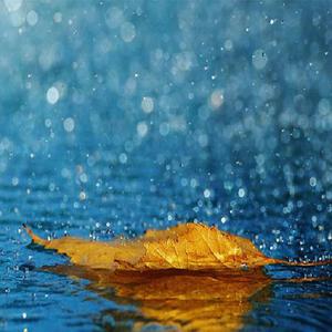 亚洲日韩中文制服
